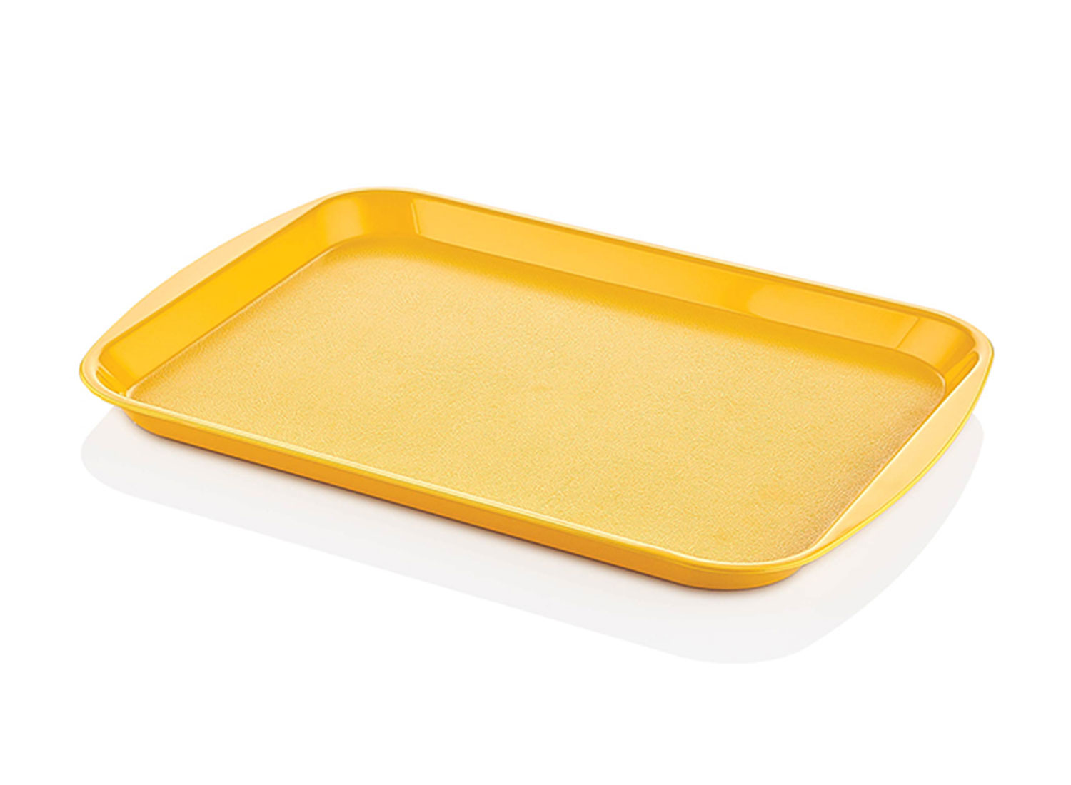 36×46 cm ABS Tray Premium